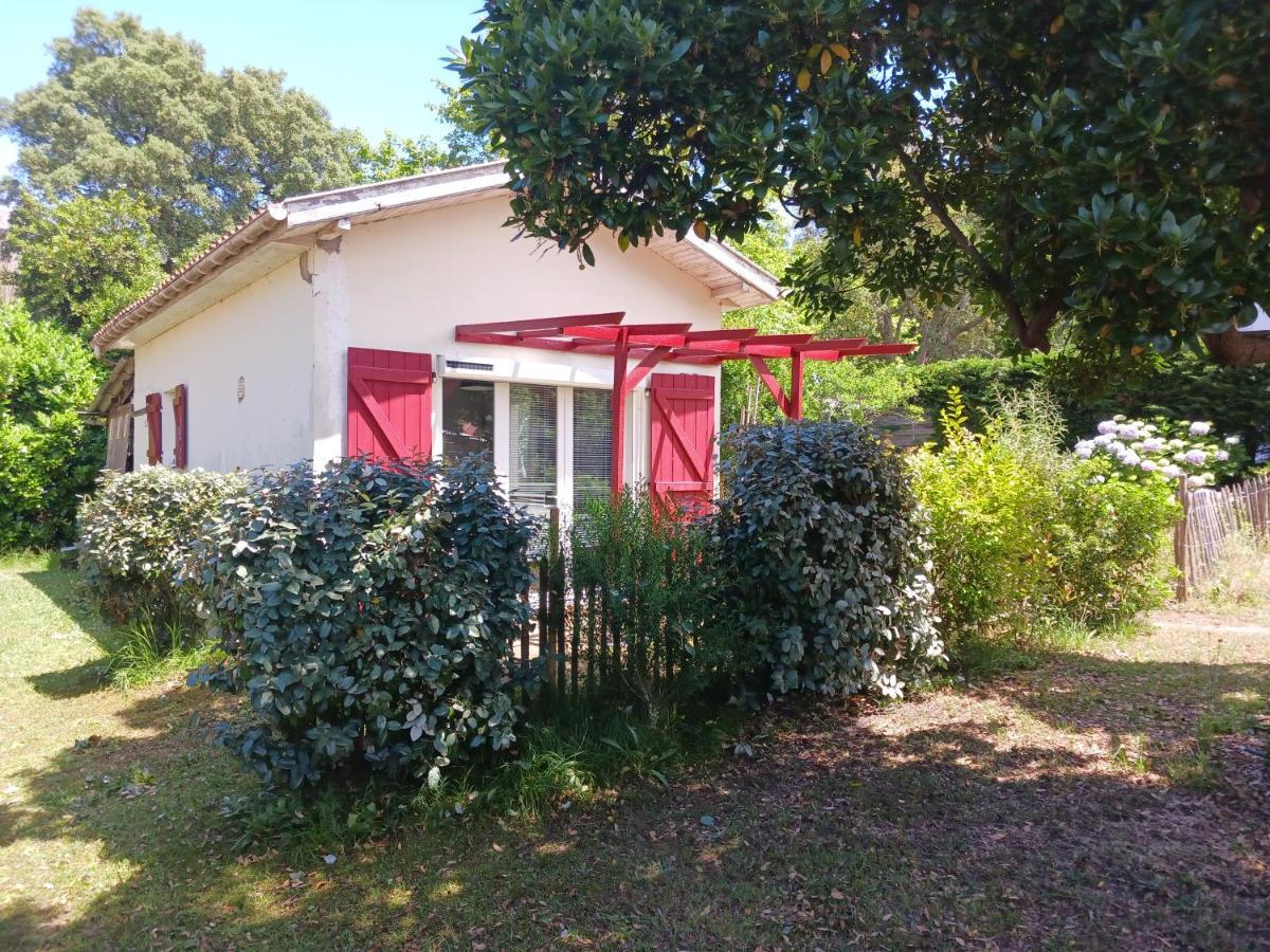 Maisonnette Proche De La Plage Tarnos Bagian luar foto